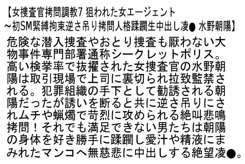 [stcetd00085]【お得セット】捜査官拷問調教2・女捜査官拷問調教5・女捜査官拷問調教7＜セレブの友（お得セット）＞